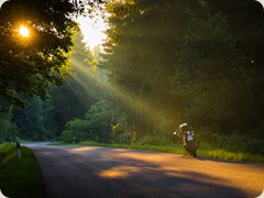 FT20140072